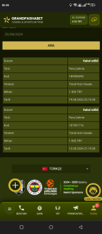 Screenshot_20240820-005547.png