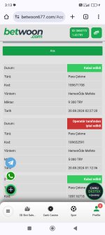 Screenshot_2024-08-20-03-13-49-395_com.android.chrome.jpg