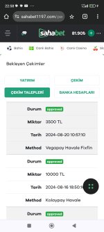 Screenshot_2024-08-20-22-58-04-333_com.android.chrome.jpg