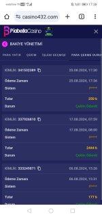 Screenshot_20240825_173854_com.android.chrome.jpg