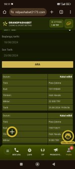 Screenshot_2024-08-25-19-11-13-766_com.android.chrome.jpg