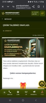 Screenshot_20240826_235514_Chrome.jpg