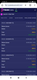 Screenshot_2024-08-28-12-26-13-453_com.android.chrome.jpg