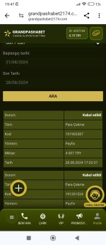 Screenshot_2024-08-28-19-47-50-547_com.android.chrome.jpg