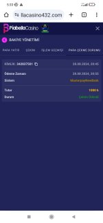 Screenshot_2024-08-29-05-33-21-307_com.android.chrome.jpg