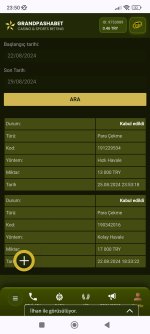Screenshot_2024-08-29-23-50-18-086_com.android.chrome.jpg