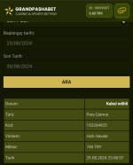 Screenshot_2024-08-30-17-36-09-941_com.android.chrome-edit.jpg