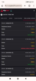 Screenshot_2024-08-31-07-00-16-314_com.android.chrome.jpg