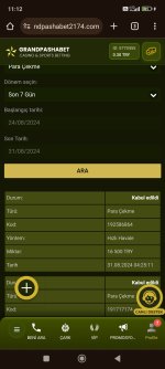 Screenshot_2024-08-31-11-12-10-474_com.android.chrome.jpg
