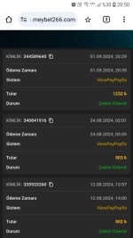Screenshot_20240901-205040_Chrome.jpg