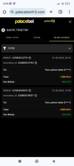 Screenshot_2024-09-02-00-45-12-401_com.android.chrome.jpg