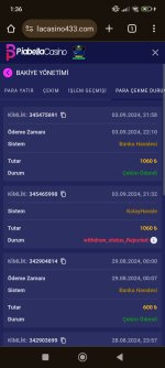 Screenshot_2024-09-04-01-36-15-143_com.android.chrome.jpg