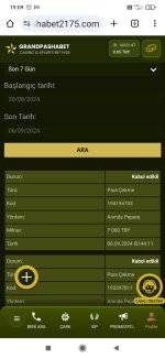 Screenshot_2024-09-06-19-09-05-412_com.android.chrome.jpg