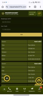 Screenshot_2024-09-11-12-48-22-118_com.android.chrome.jpg