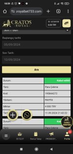Screenshot_2024-09-12-18-59-28-291_com.android.chrome.jpg