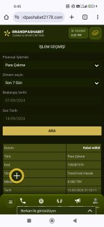 Screenshot_2024-09-14-00-45-02-896_com.android.chrome.jpg
