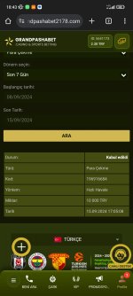Screenshot_2024-09-15-18-43-01-863_com.android.chrome.jpg