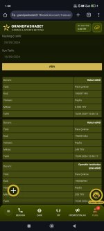 Screenshot_2024-09-16-01-58-13-248_com.android.chrome.jpg