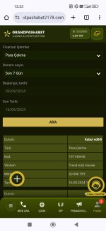 Screenshot_2024-09-16-13-33-57-019_com.android.chrome.jpg