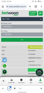 Screenshot_20240917-012213.png
