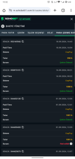 Screenshot_20240918-193255.png