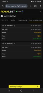 Screenshot_20240918-220943_Chrome.jpg