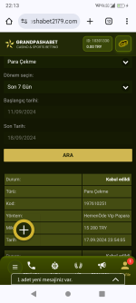 Screenshot_20240918-221335.png