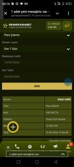Screenshot_20240920-021452.jpg