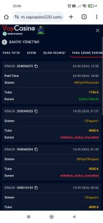 Screenshot_2024-09-24-23-06-11-635_com.android.chrome.jpg
