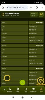 Screenshot_2024-09-25-02-44-56-324_com.android.chrome.jpg