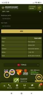 Screenshot_2024-09-26-16-24-49-513_com.android.chrome.jpg