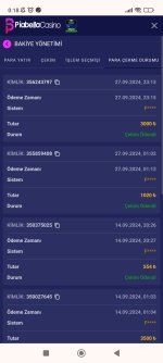 Screenshot_2024-09-28-00-18-01-918_com.android.chrome.jpg