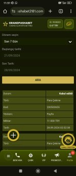 Screenshot_2024-09-28-11-51-54-634_com.android.chrome.jpg