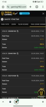 Screenshot_2024-09-28-17-42-32-441_com.android.chrome.jpg