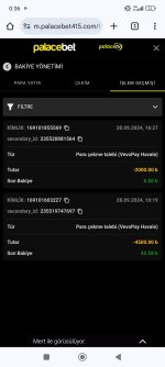 Screenshot_2024-09-29-00-36-58-754_com.android.chrome.jpg