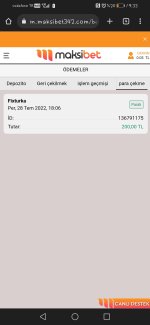 Screenshot_20220729_193343_com.android.chrome.jpg