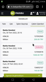 Screenshot_2022-07-31-04-06-16.png