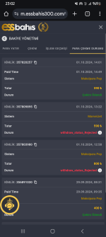 Screenshot_20241001_230254_Chrome.png