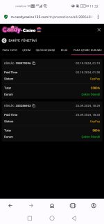 Screenshot_20241002_113242_com.opera.browser.jpg