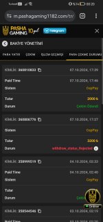 Screenshot_20241008_002055_com.android.chrome.jpg