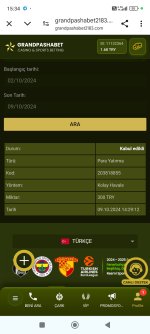 Screenshot_2024-10-09-15-34-52-976_com.android.chrome.jpg