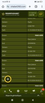 Screenshot_2024-10-11-18-25-41-519_com.android.chrome.jpg