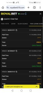 Screenshot_20241012_010104_com.android.chrome.jpg