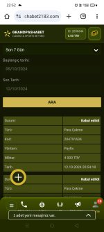 Screenshot_2024-10-12-22-52-57-81.jpg
