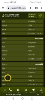 Screenshot_20241013_003339_com.android.chrome.jpg