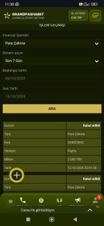 Screenshot_2024-10-13-11-30-24-932_com.android.chrome.jpg