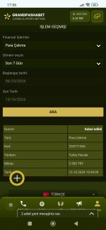 Screenshot_2024-10-13-17-56-32-848_com.android.chrome.jpg