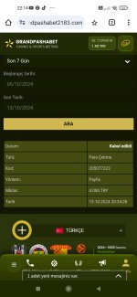 Screenshot_2024-10-13-22-14-03-830_com.android.chrome.jpg