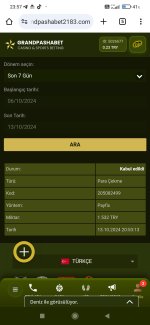 Screenshot_2024-10-13-23-57-01-894_com.android.chrome.jpg