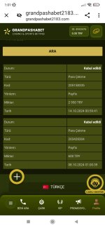 Screenshot_2024-10-14-01-01-19-188_com.android.chrome.jpg